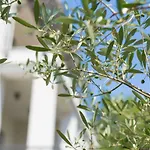 Residence Veglia Apartmán