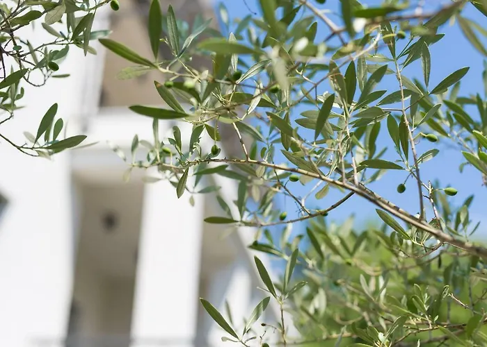 Residence Veglia Apartman